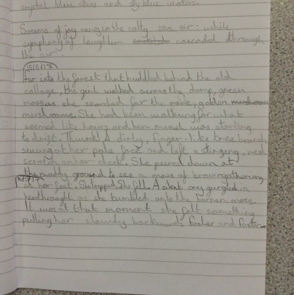 Image of Superb writing in year 6